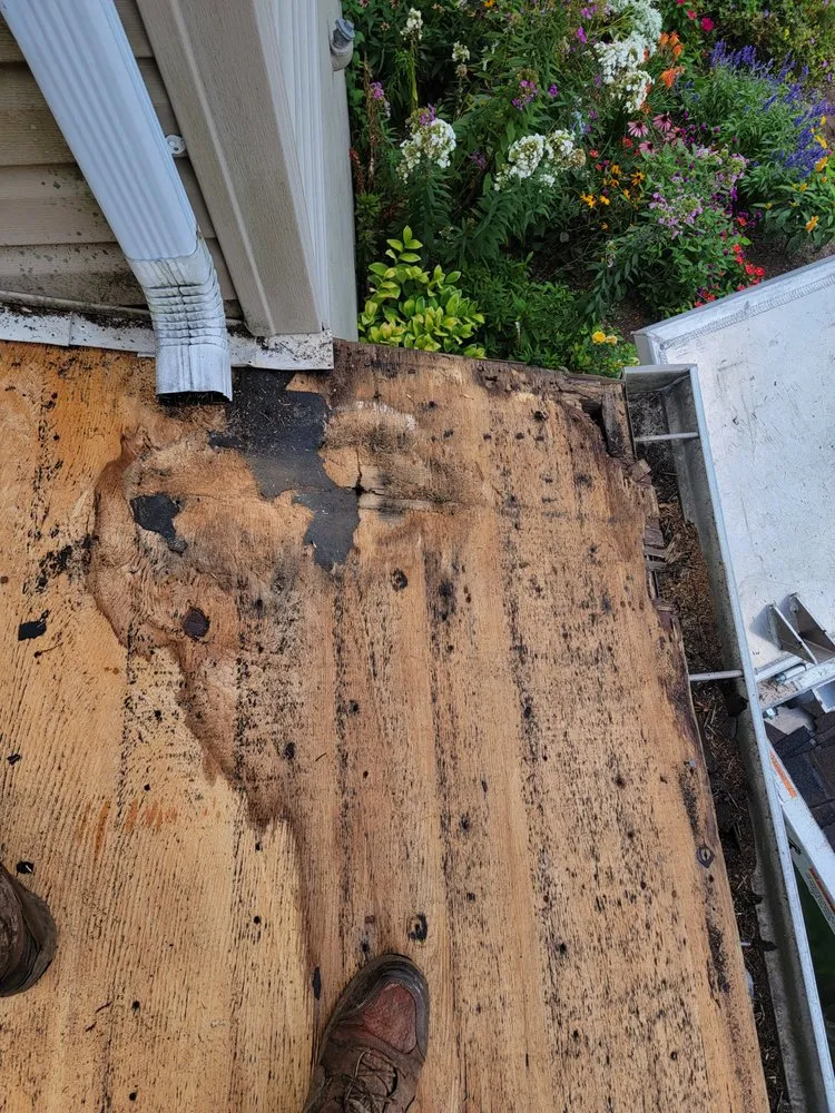 Slide of Bob Handy Builders