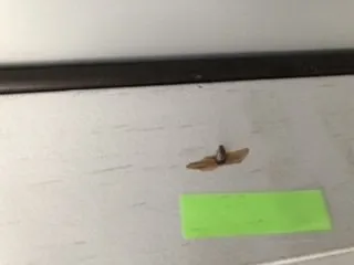 Slide of Bob's Construction & Repairs