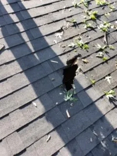 Slide of Bob's Construction