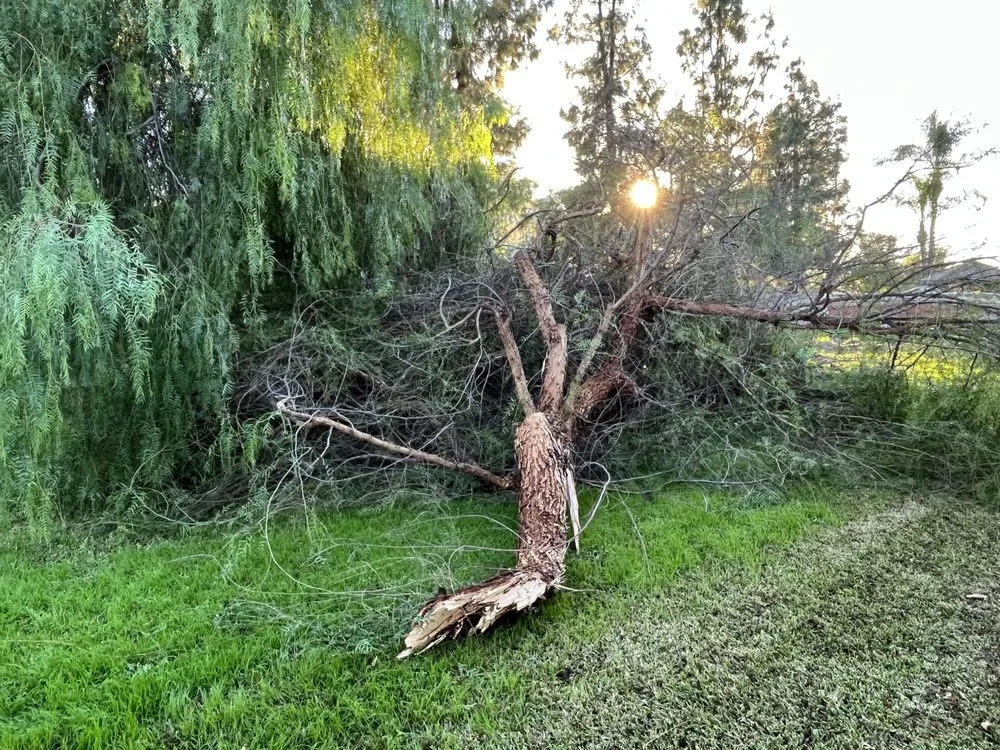 Slide of Bobs Weed Abatement Hemet