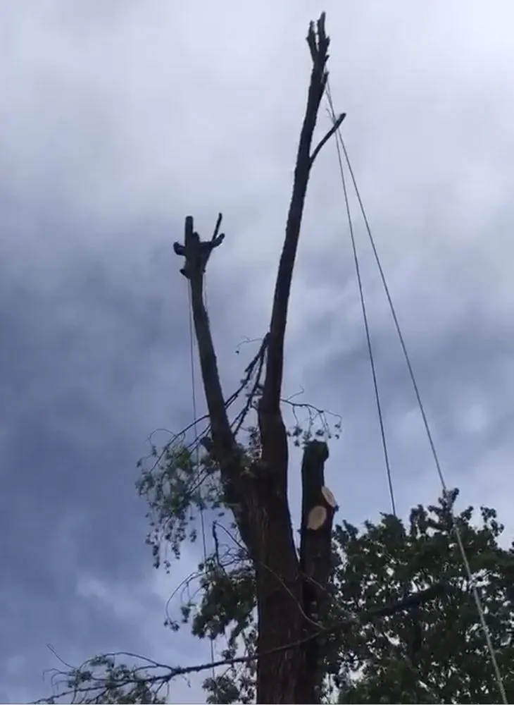 Slide of Bolanos General Construction