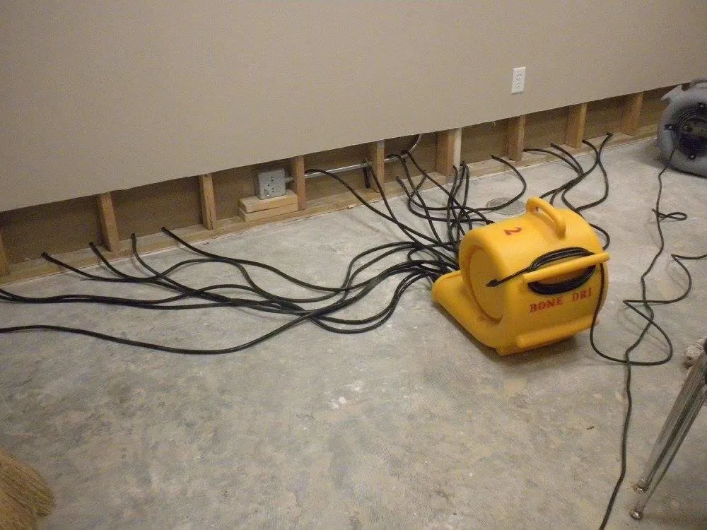 Slide of Bone Dri Water Solutions