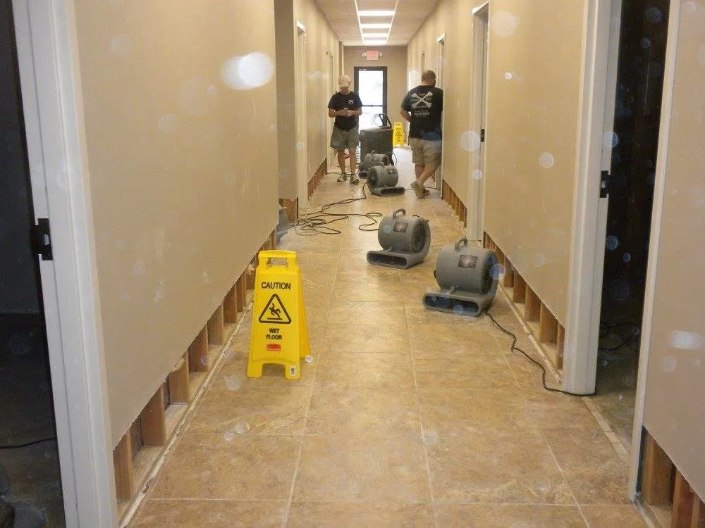 Slide of Bone Dri Water Solutions