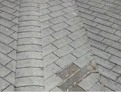 Slide of Bone Dry Roofing and Restoration