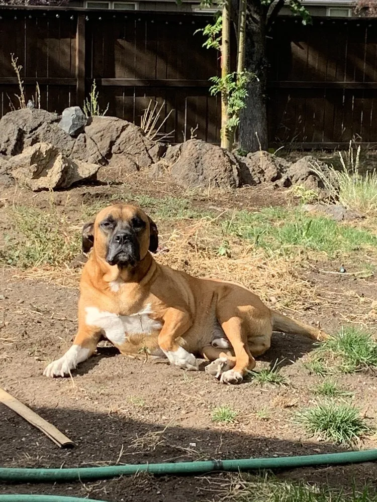 Slide of Bone Dry Roofing