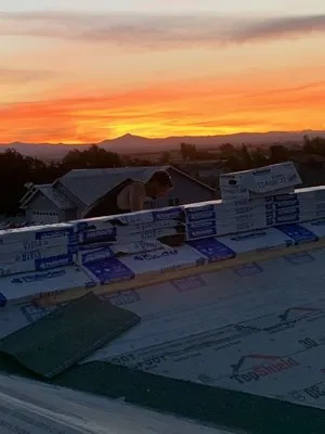 Bone Dry Roofing Logo