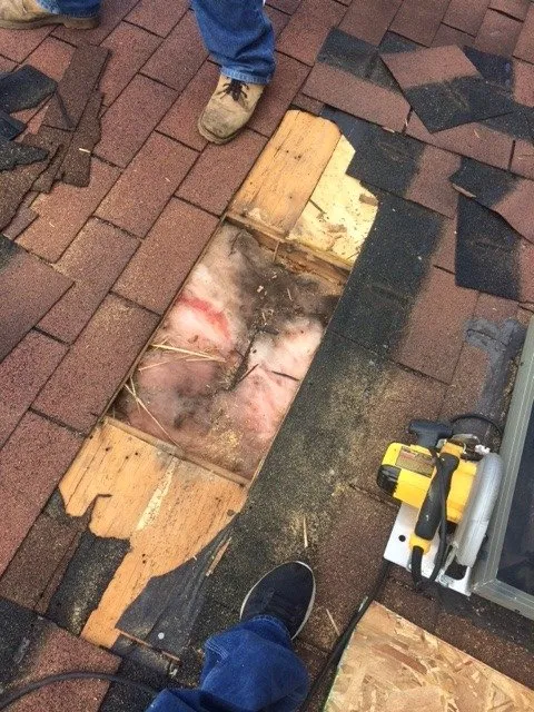 Slide of Bone Dry Roofing