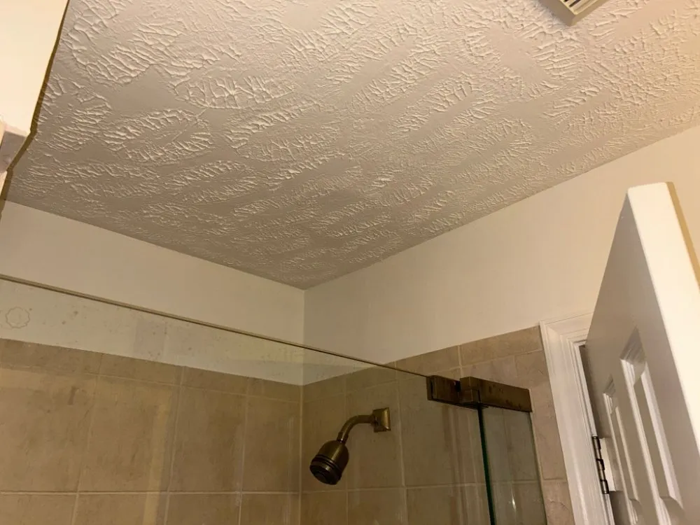 Slide of Bonilla's Construction