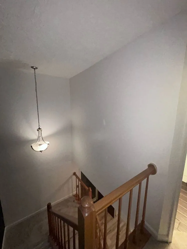 Slide of Bonilla's Construction