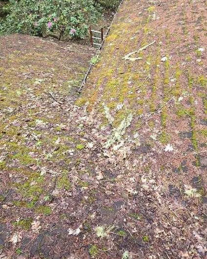 Slide of Bonn Roof Care