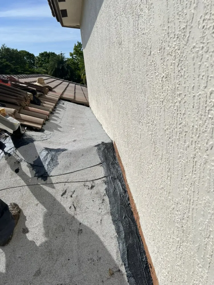 Slide of Borja Roofing