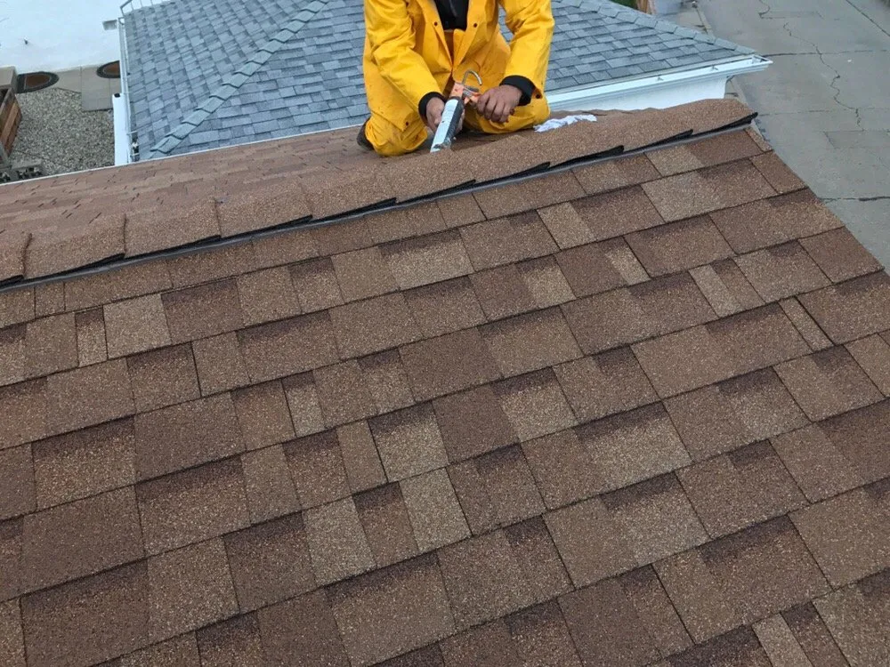 Slide of Born 2 Roof