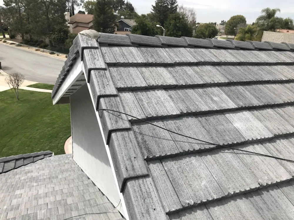 Slide of Born 2 Roof