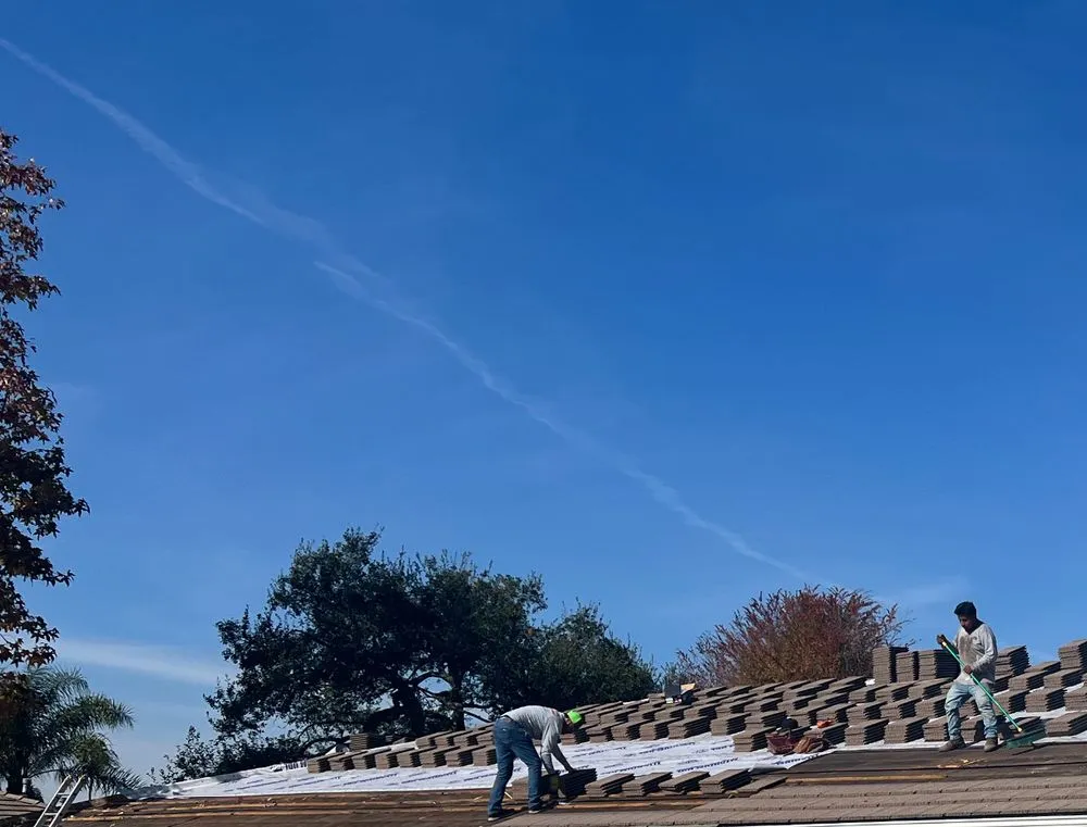 Slide of Born 2 Roof