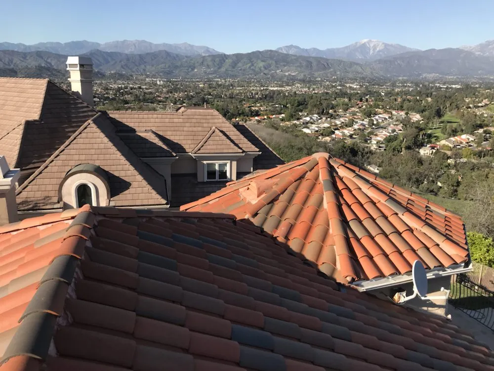 Slide of Born 2 Roof