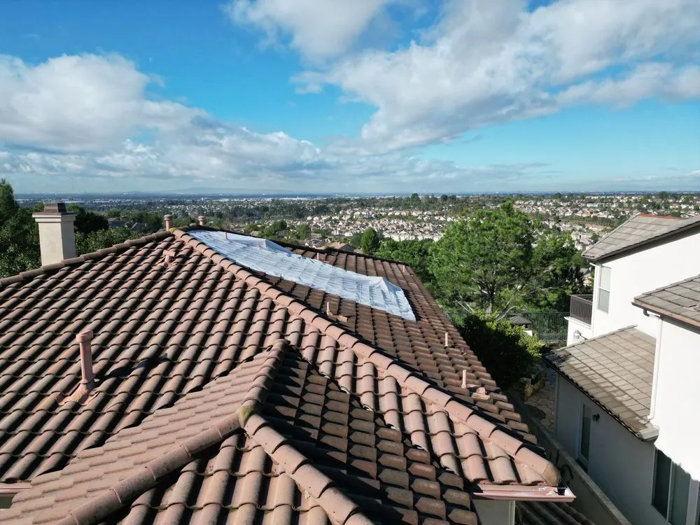 Slide of Born 2 Roof