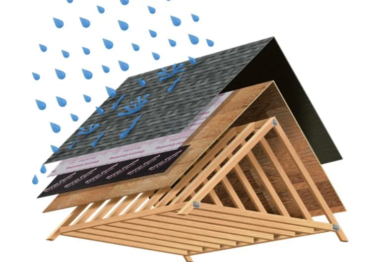 Slide of Born 2 Roof