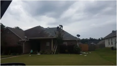 Slide of Born To Roof