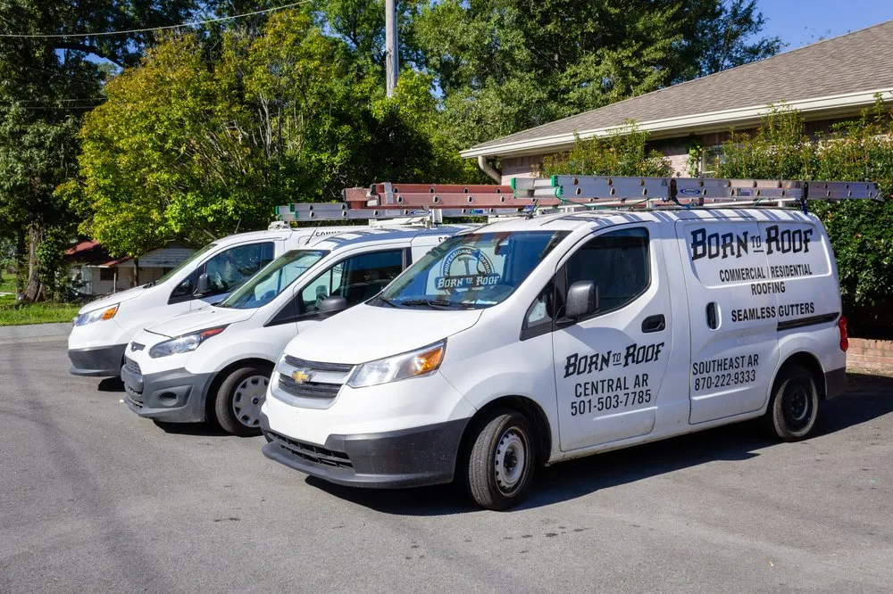 Slide of Born To Roof