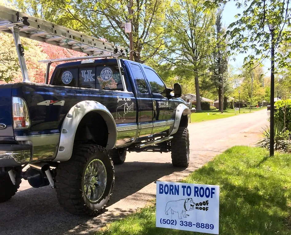 Slide of Born To Roof