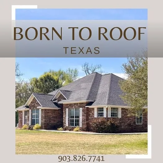 Slide of Born to Roof Texas