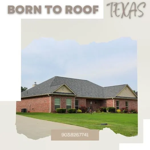 Slide of Born to Roof Texas