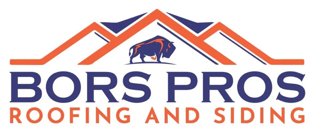 Slide of Bors Pros Construction