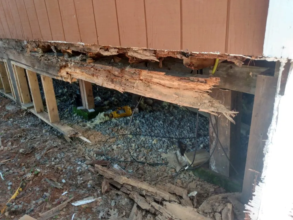 Slide of Boss Builds