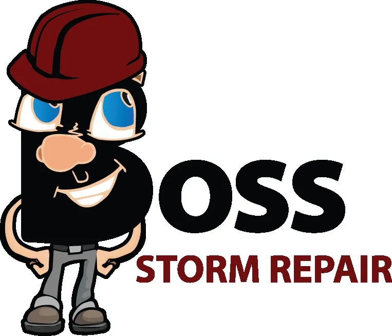 Slide of Boss Storm Repair