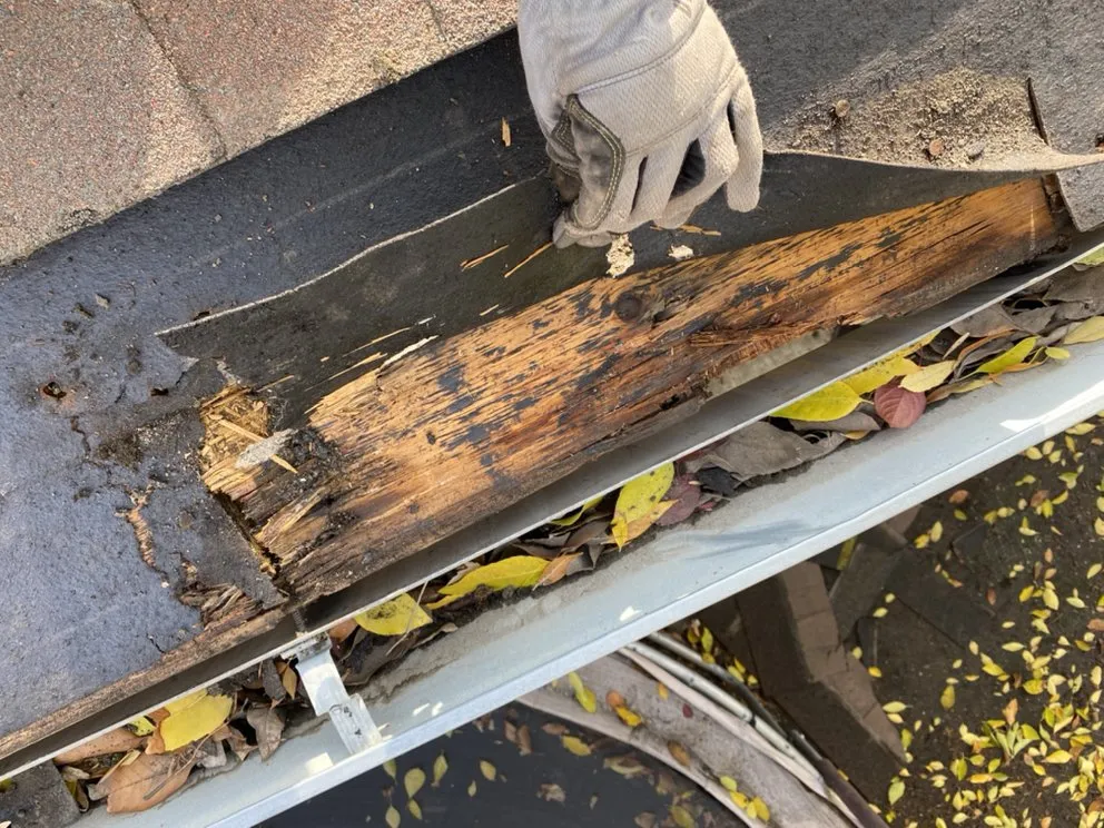 Slide of Bossmans Gutters & Repairs