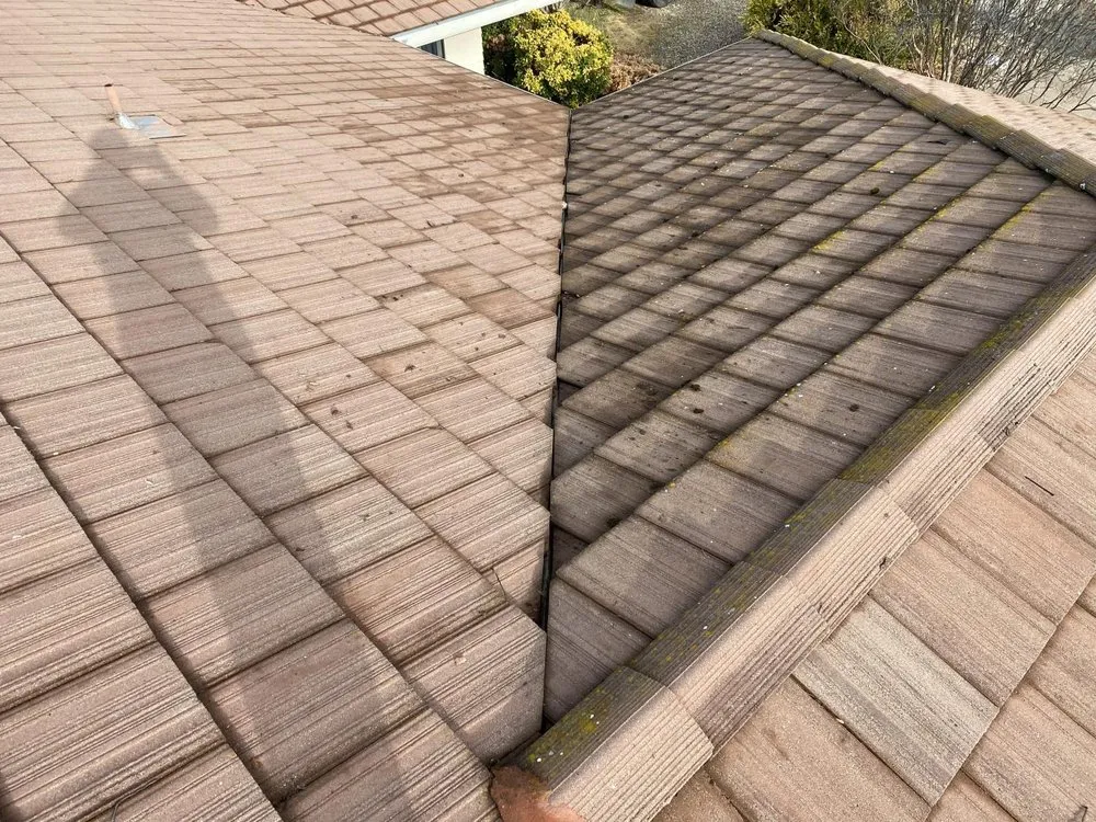 Slide of Bossmans Gutters & Repairs