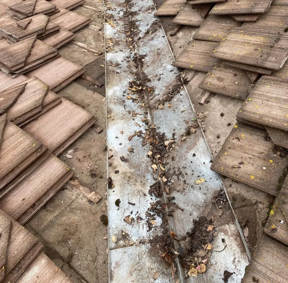 Slide of Bossmans Gutters & Repairs