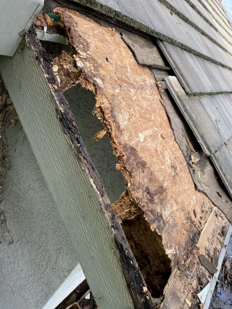 Slide of Bossmans Gutters & Repairs