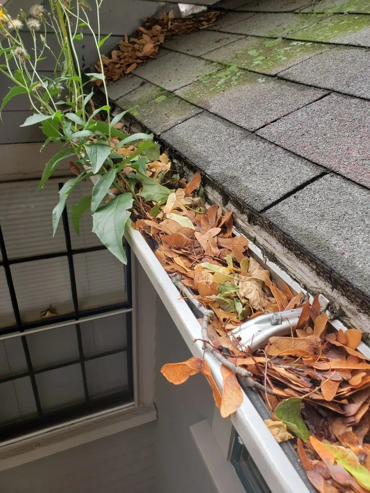Slide of Boston Gutter Cleaning