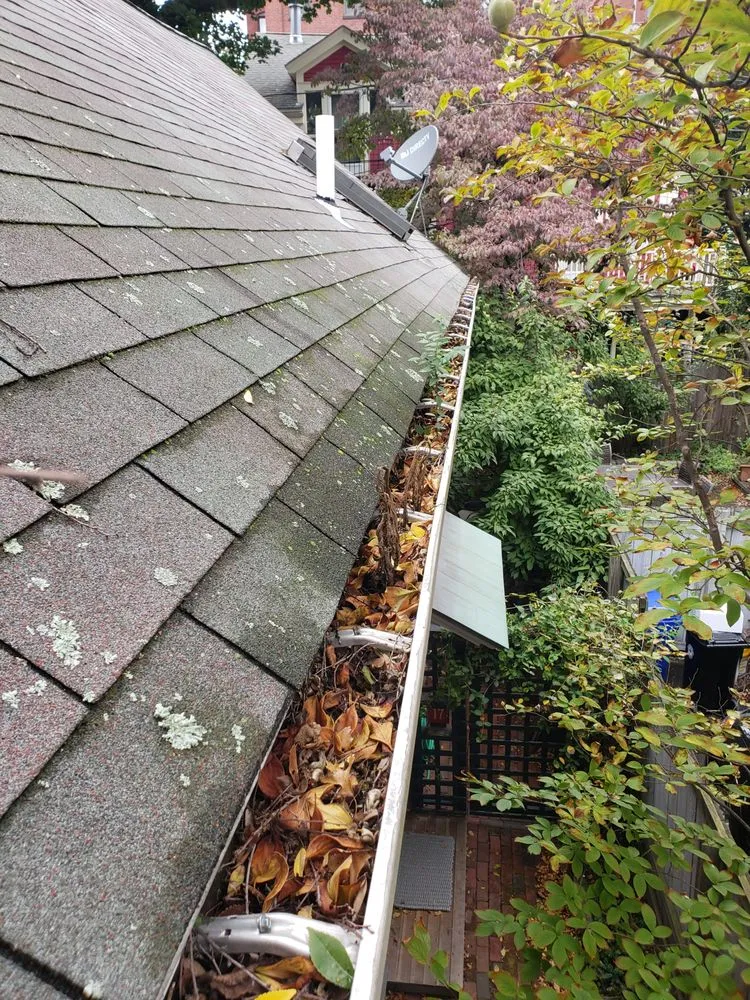 Slide of Boston Gutter Cleaning