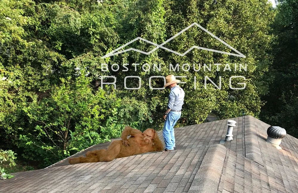Slide of Boston Mountain Roofing