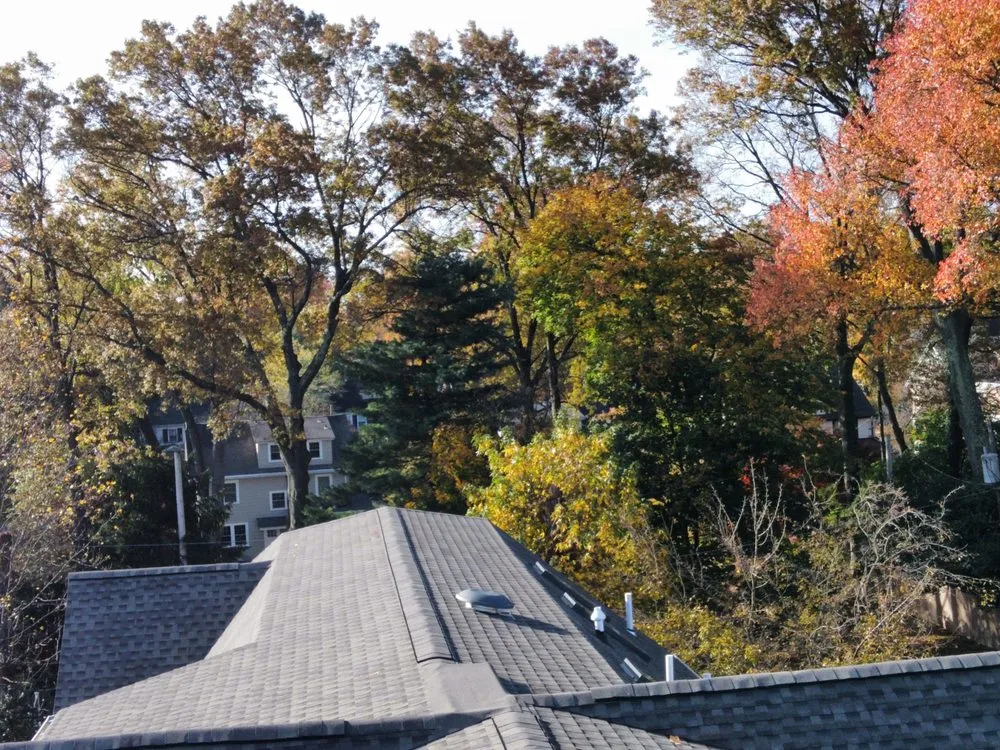 Slide of Botani Exteriors