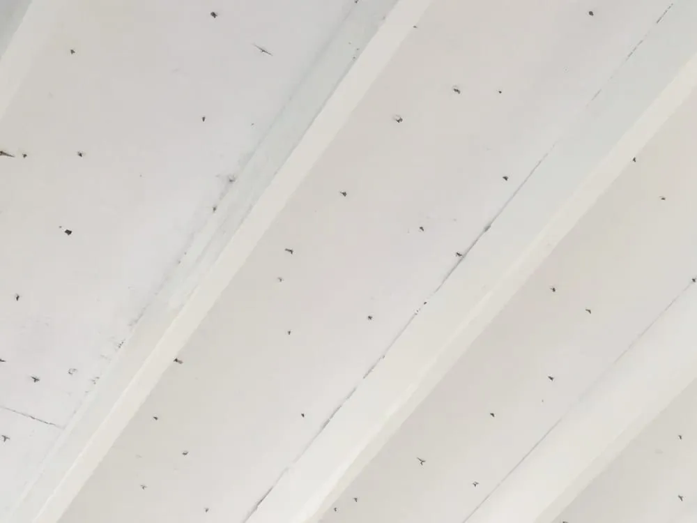 Slide of Bowen's Roofing