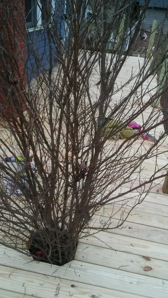 Slide of Bowkley Roofing & Handyman