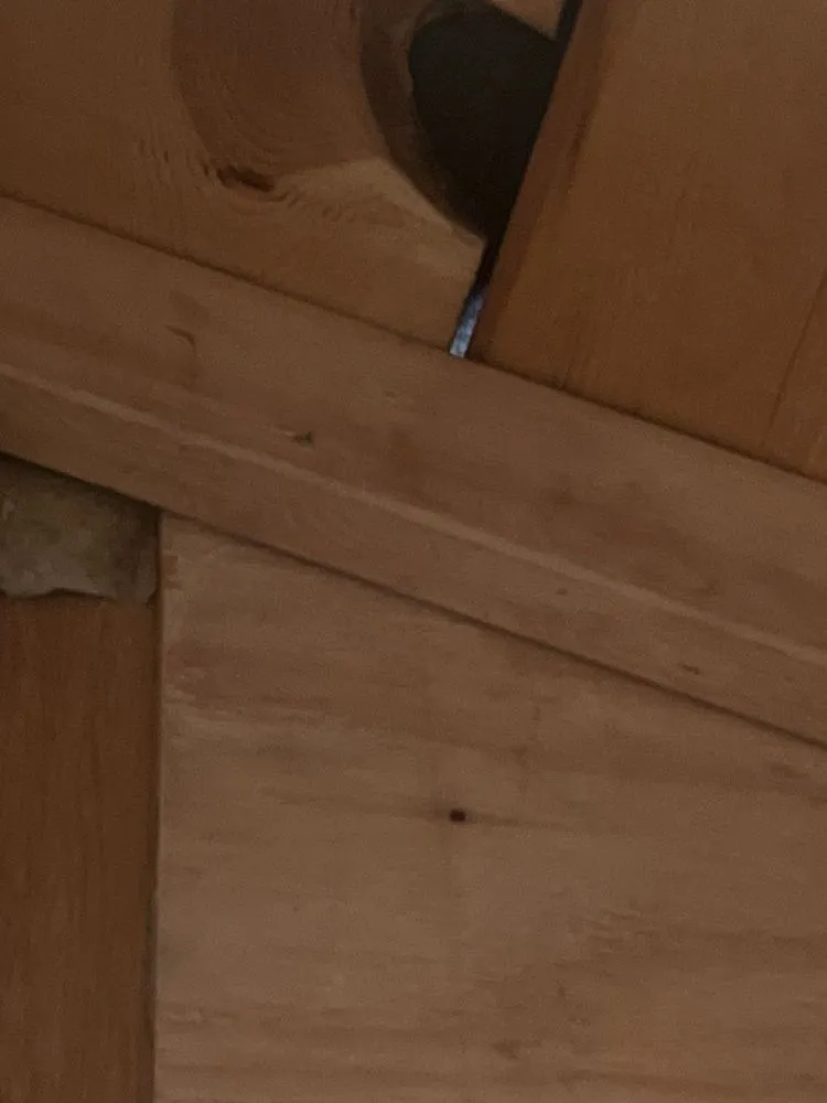 Slide of BowTie Roofing