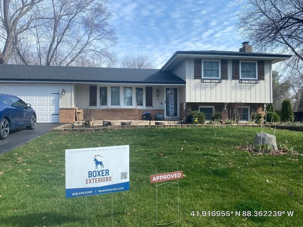 Slide of Boxer Exteriors