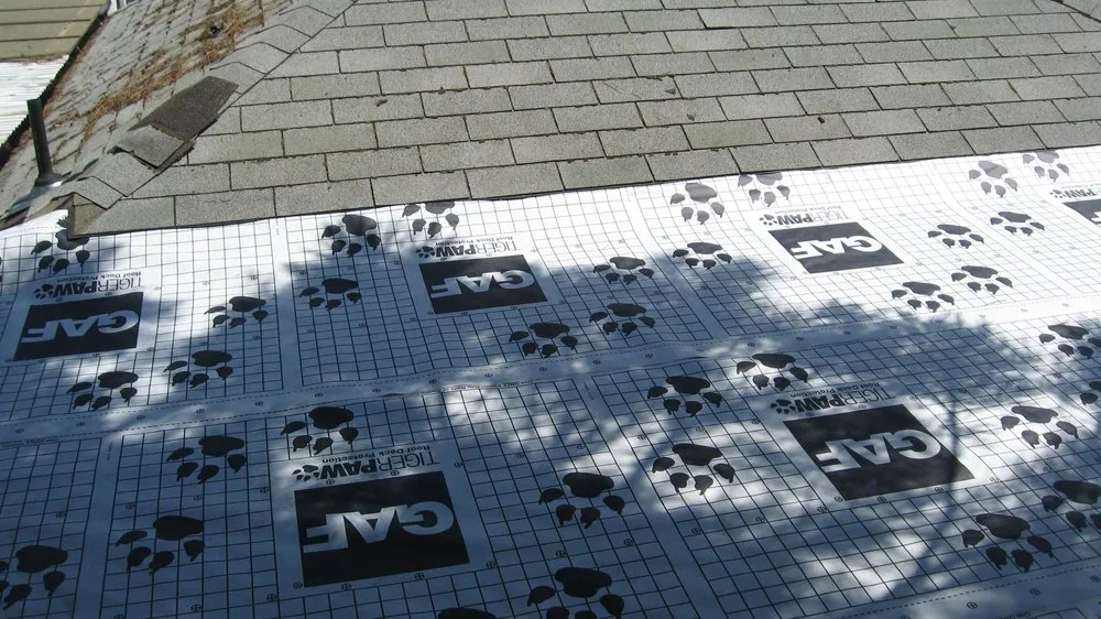 Slide of Brad Fox Roofing