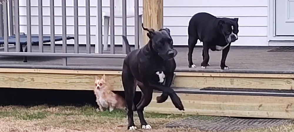 Slide of BRADCO Construction