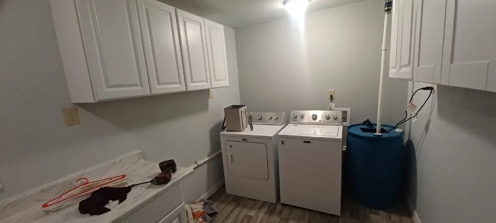 Slide of Brahma Paint and Remodel