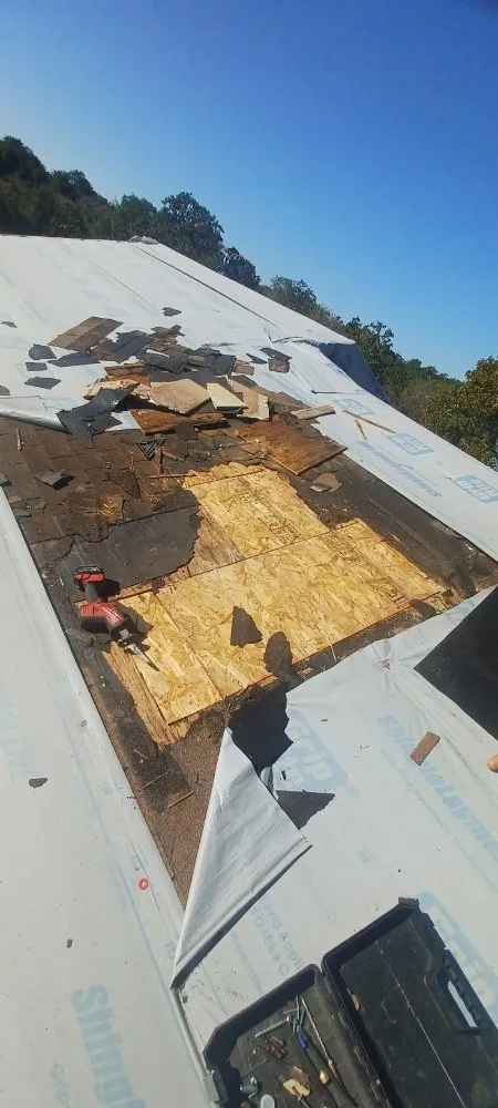 Slide of Brahma Paint and Remodel