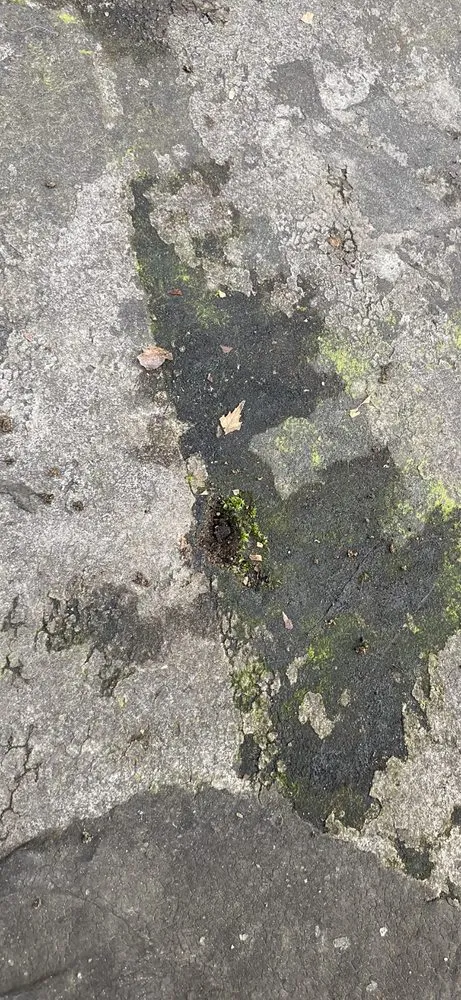 Slide of Bramhill Innovations