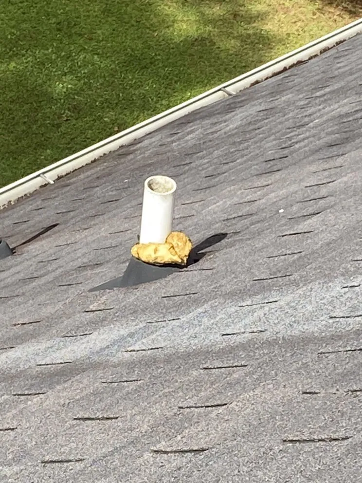 Slide of Brand New Roofing