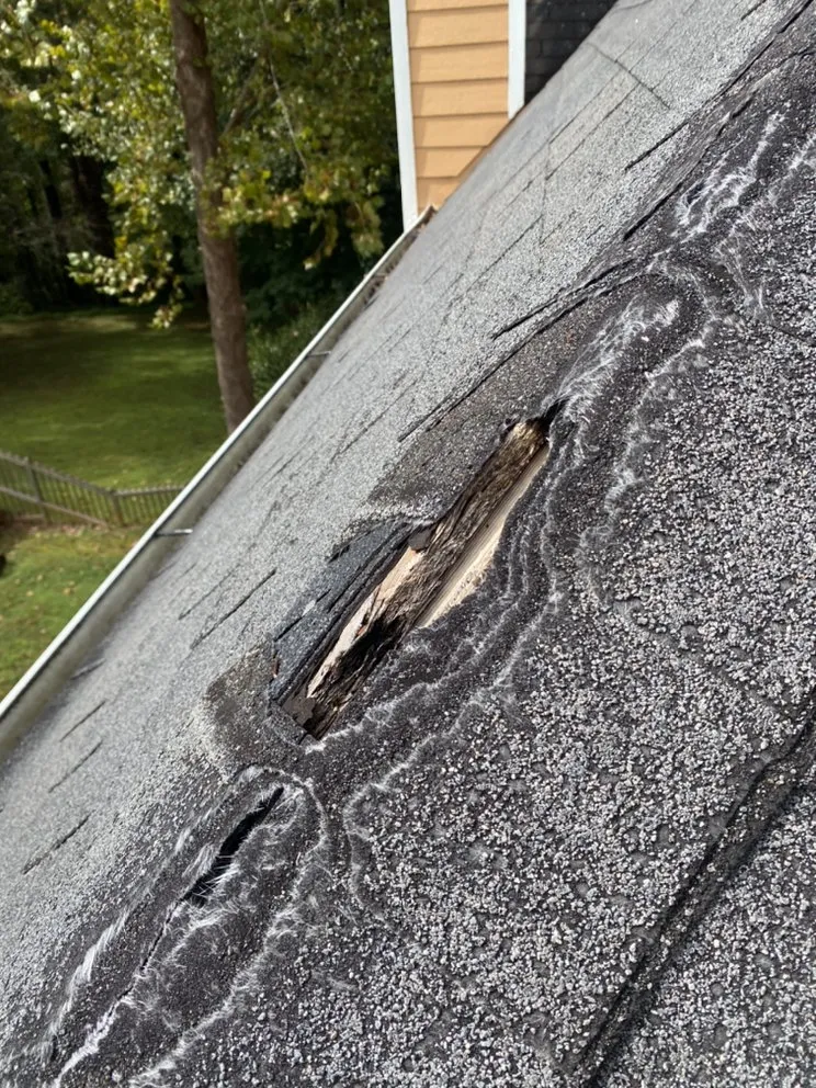 Slide of Brand New Roofing
