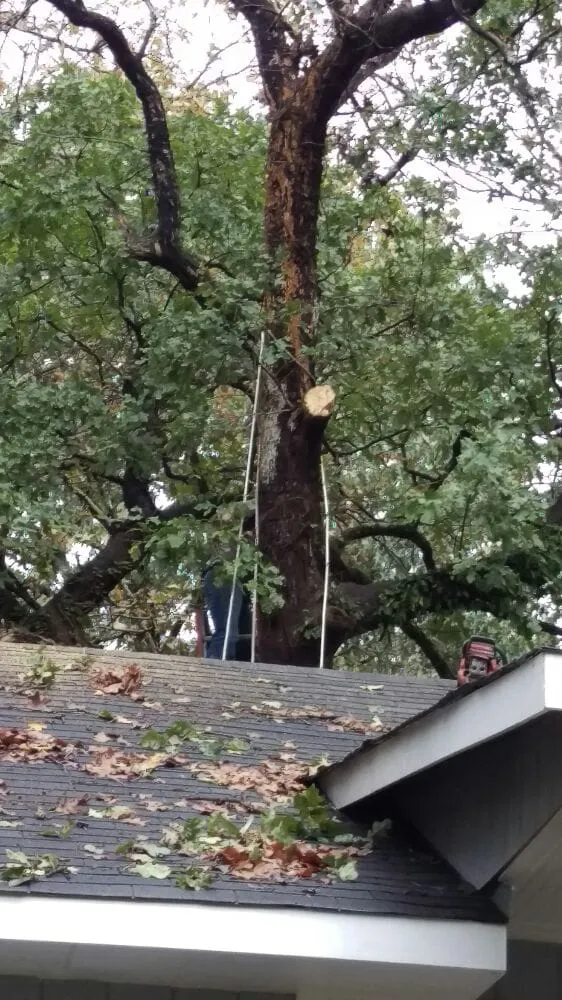 Slide of Brandi's Home Improvements & Roofing