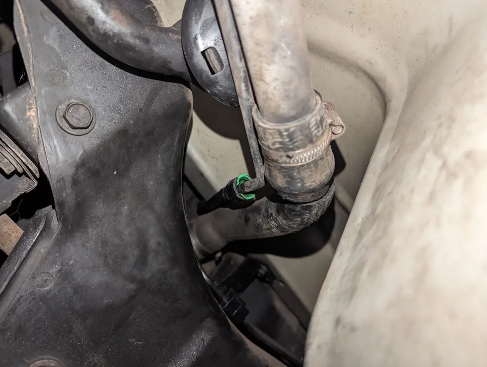 Slide of Brandon Allen